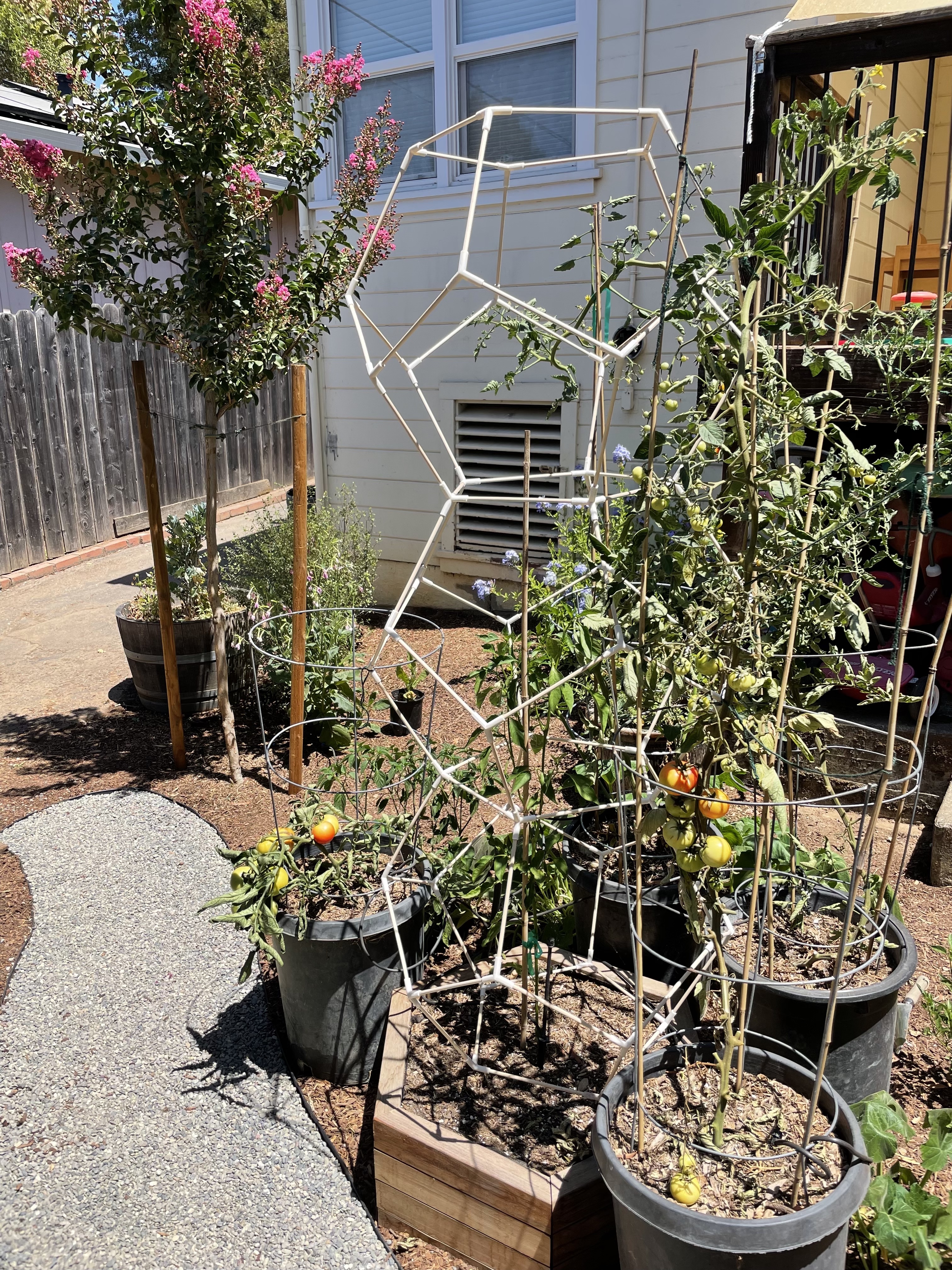 3d printed dodecahedron tomato cage